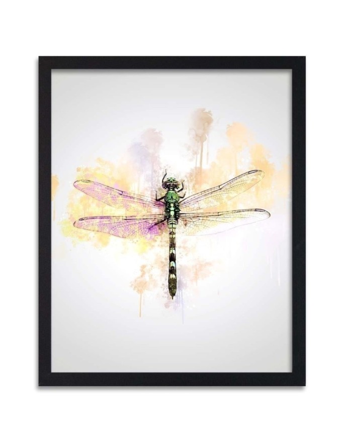 Poster Dragonfly insect
