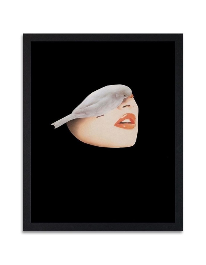 Poster White bird and face