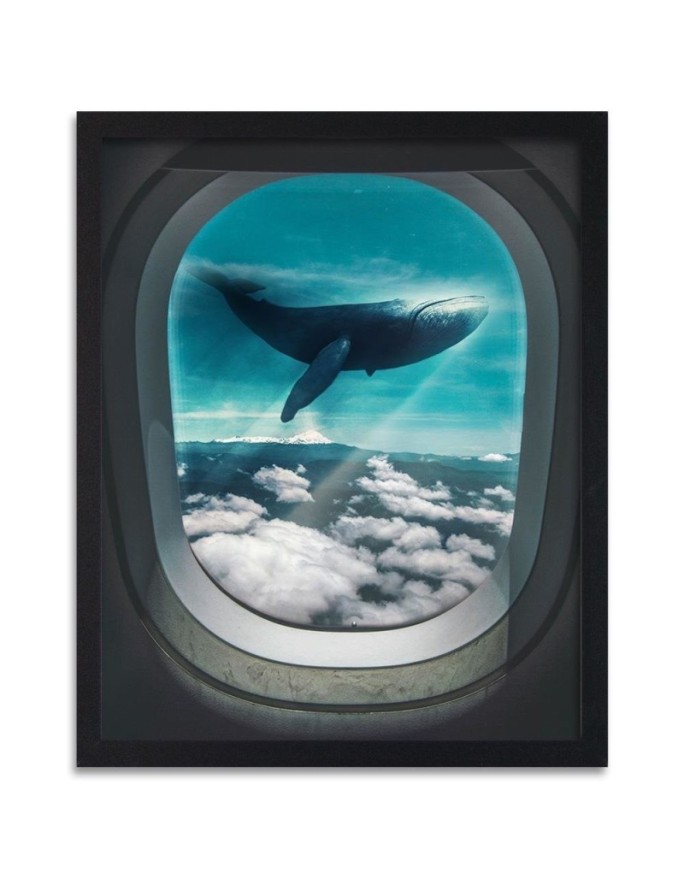 Poster Whale view through...