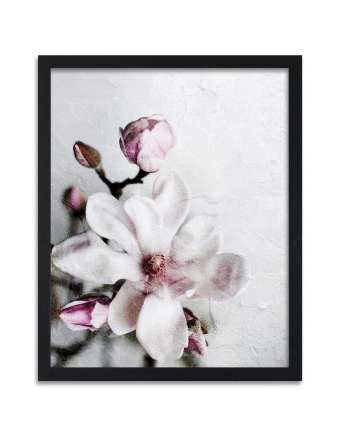 Poster White magnolia flower