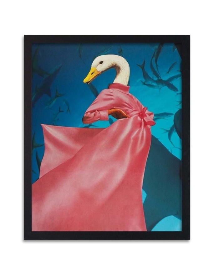 Poster Duck in pink dress
