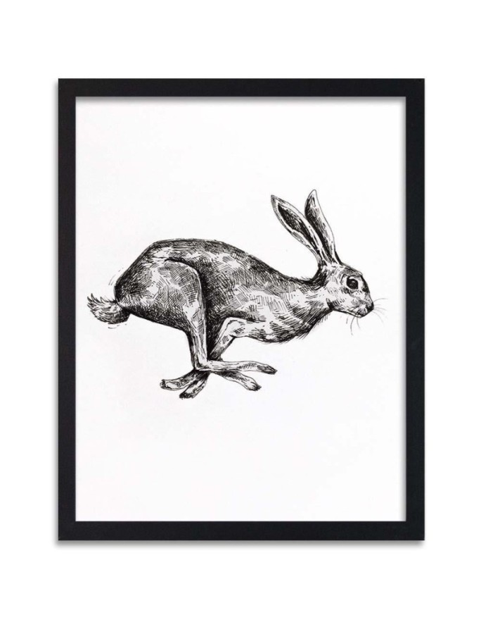 Poster Hare