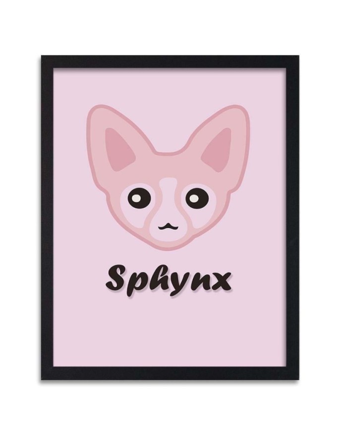 Poster Pink cat head