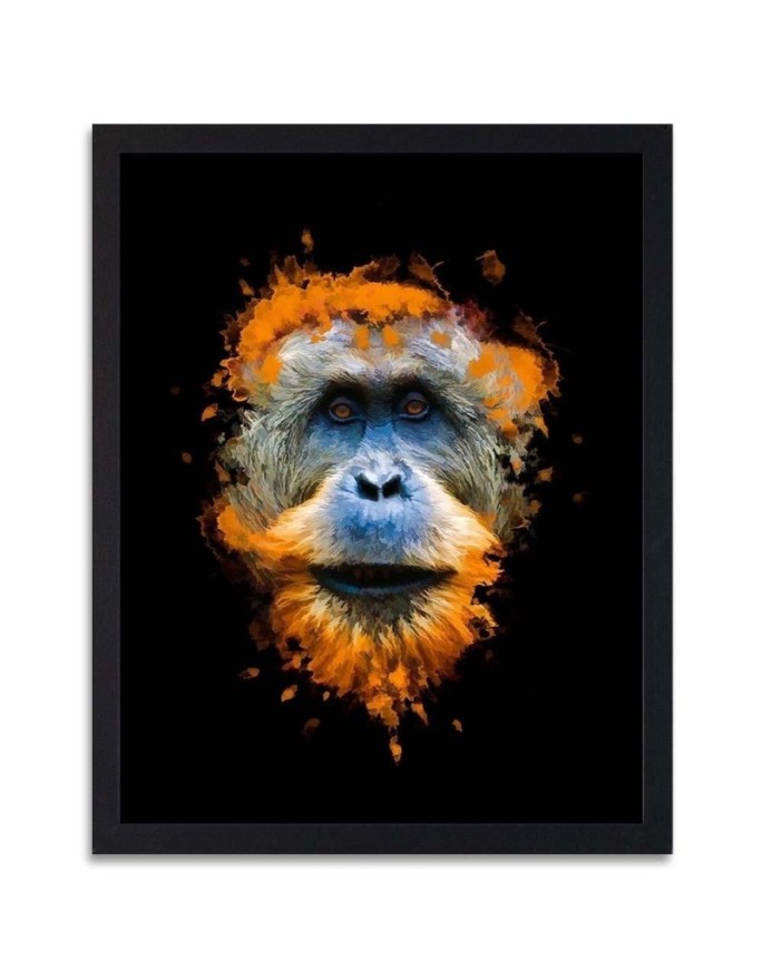 Poster Orangutan, monkey