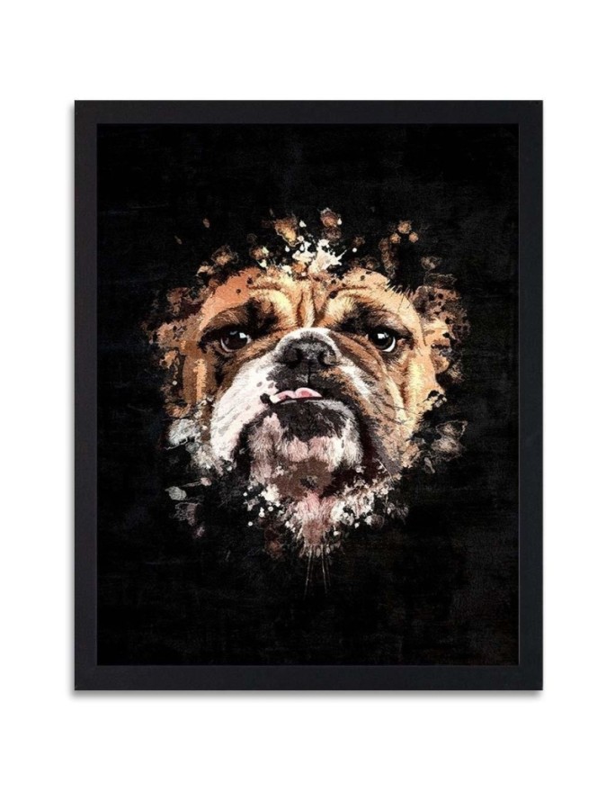 Poster English Bulldog