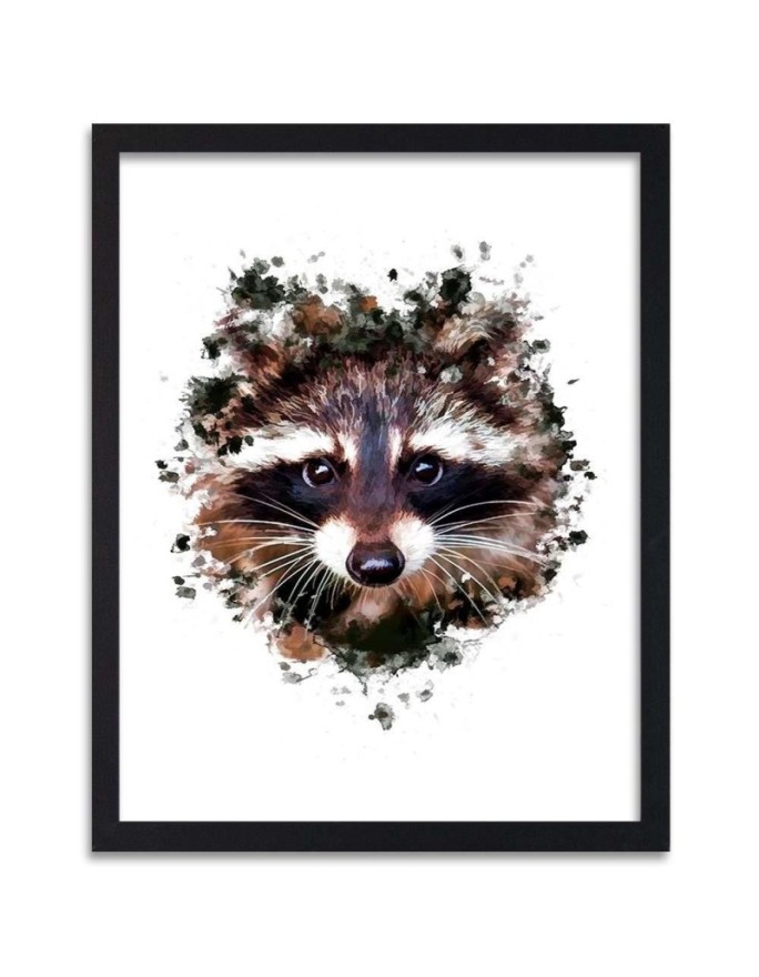 Poster Raccoon prairie dog...