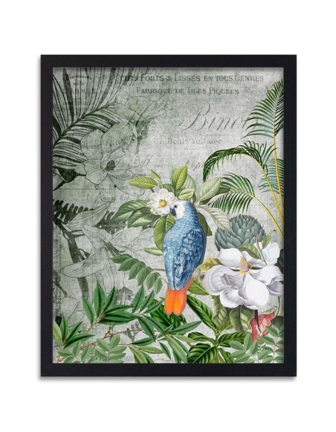 Poster Jungle birds