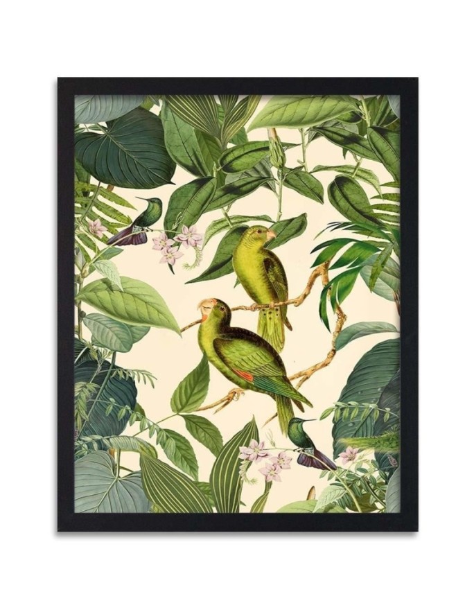 Poster Tropical birds in...
