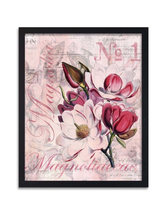 Poster Magnolias on pink...