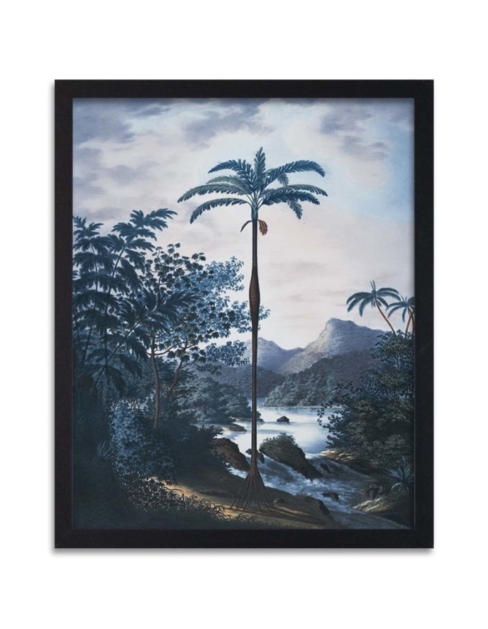 Poster Palm tree in the jungle