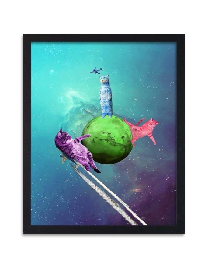 Poster Cats in space