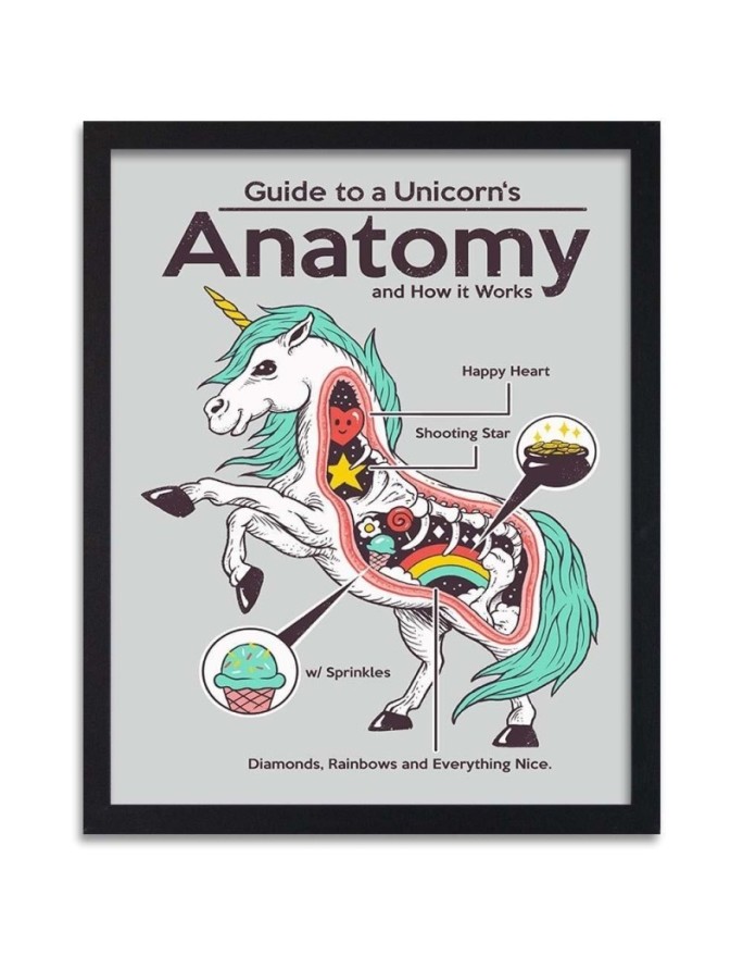 Poster Anatomy of a unicorn
