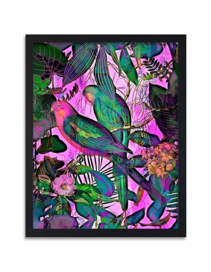 Poster Tropical colorful birds
