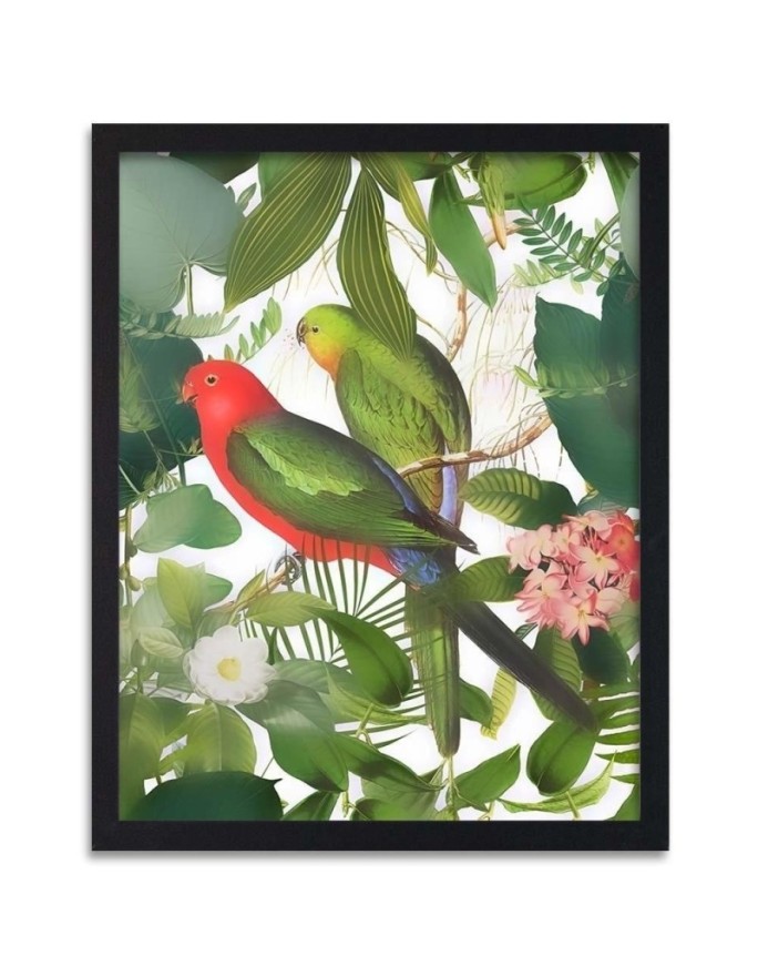 Poster Birds in the jungle