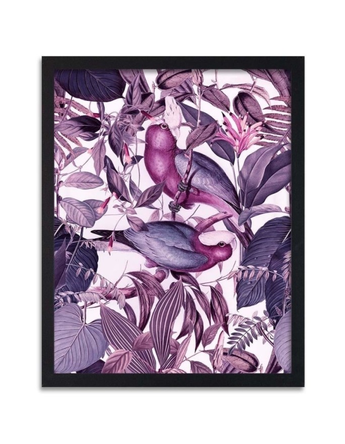 Poster Tropical birds purple