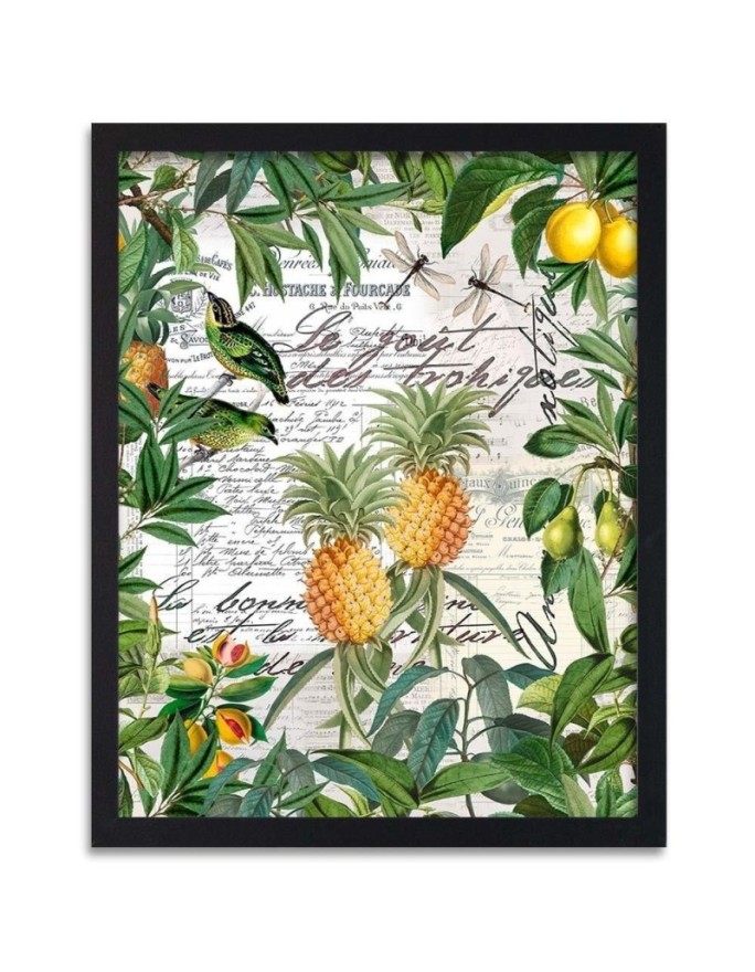 Poster Tropical fruits and...