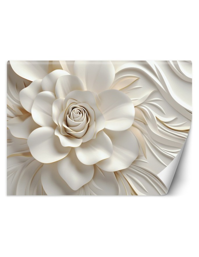 Wall mural White rose 3D