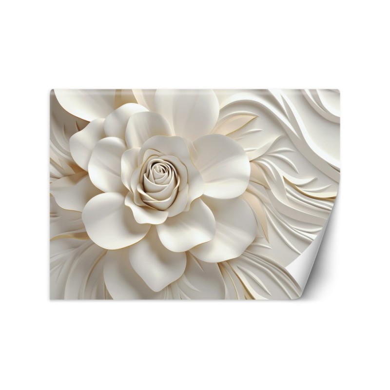 Bedroom wall mural - White rose 3D | FEEBY