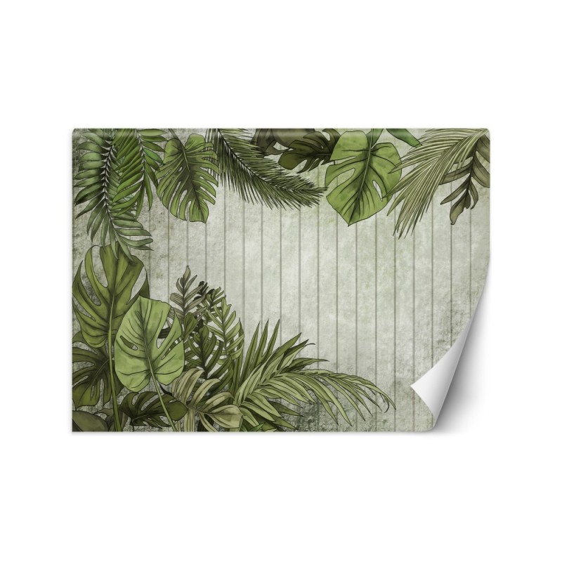 Wall mural - Tropical palm leaves on a board background | FEEBY