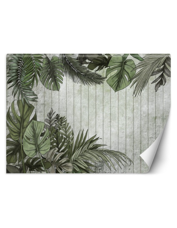 Wall mural - Exotic monstera leaves on a planked background | FEEBY