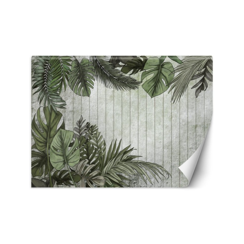 Wall mural - Exotic monstera leaves on a planked background | FEEBY