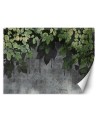 Children's wall mural - Leaves on a concrete background | FEEBY