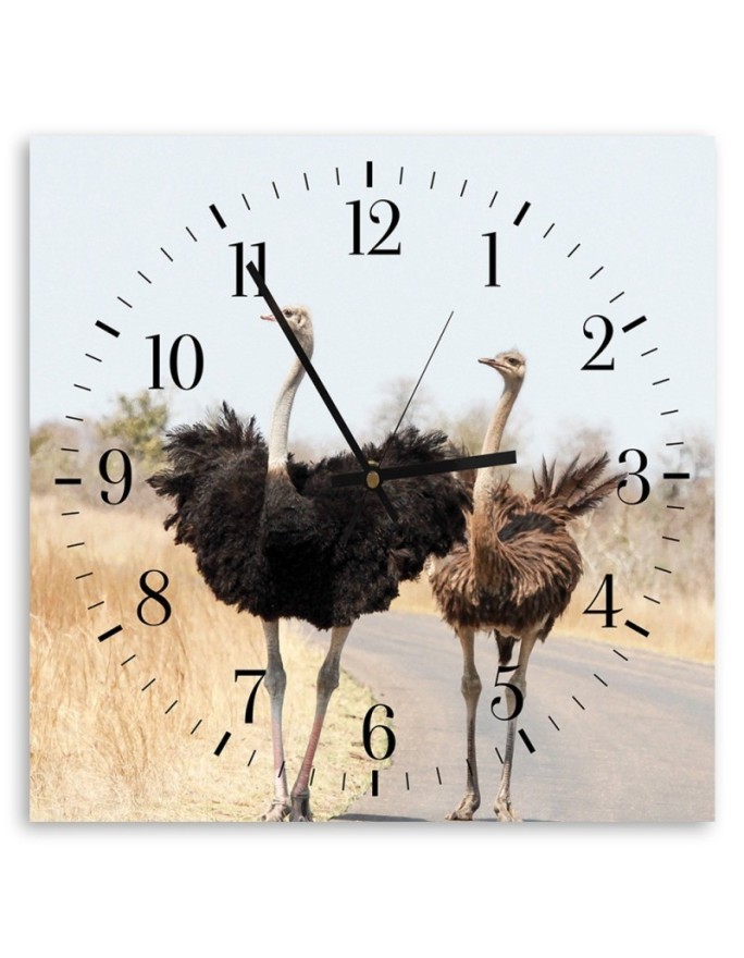 Wall clock Two ostriches