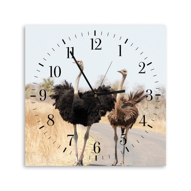 Wall clock - Two ostriches | FEEBY