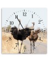 Wall clock - Two ostriches | FEEBY