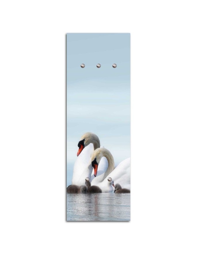 Hanger Swans | FEEBY