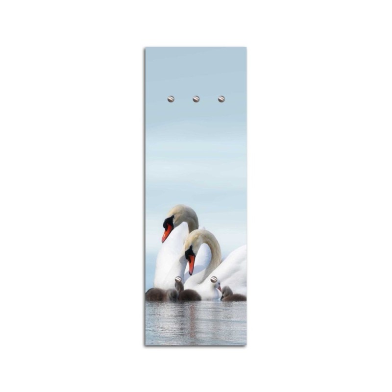 Hanger Swans | FEEBY