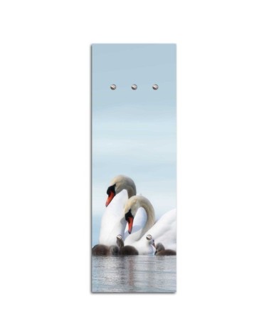 Hanger Swans | FEEBY