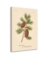 Christmas canvas art - Pinecone and Merry Christmas inscription | FEEBY