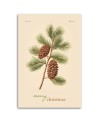 Christmas canvas art - Pinecone and Merry Christmas inscription | FEEBY
