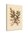 Christmas canvas art - Christmas branches | FEEBY
