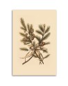 Christmas canvas art - Christmas branches | FEEBY