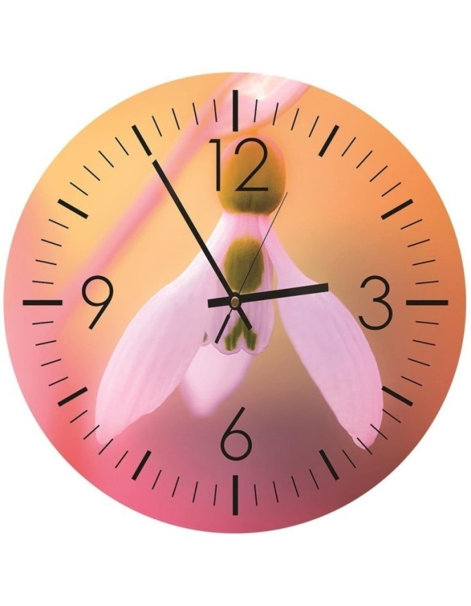 Wall clock - Snowdrop, macro - Doreen Albrecht | FEEBY