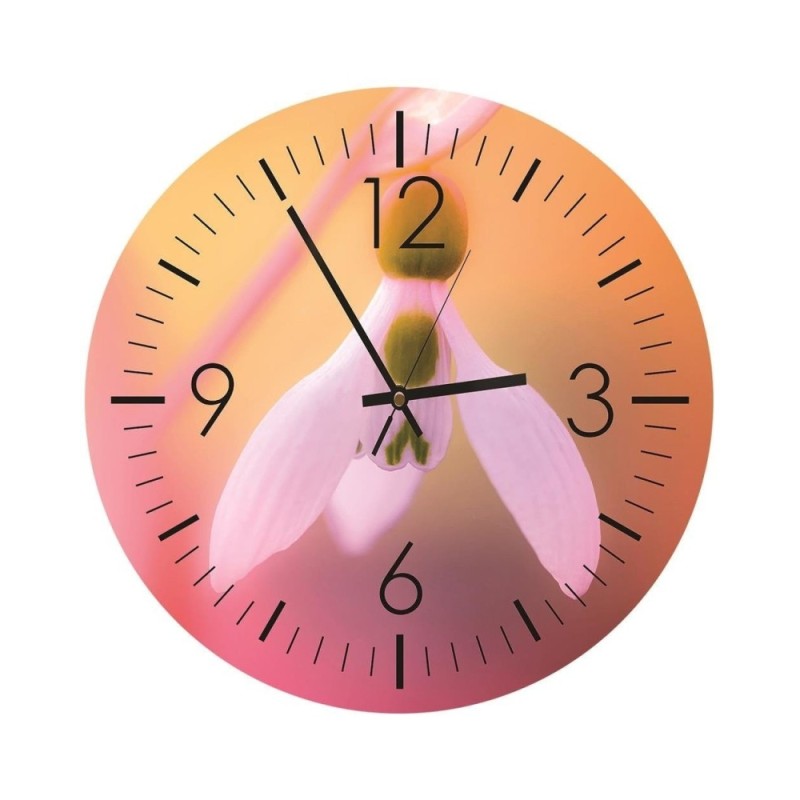 Wall clock - Snowdrop, macro - Doreen Albrecht | FEEBY