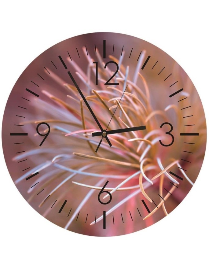 Wall clock - Autumn needles, macro - Doreen Albrecht | FEEBY