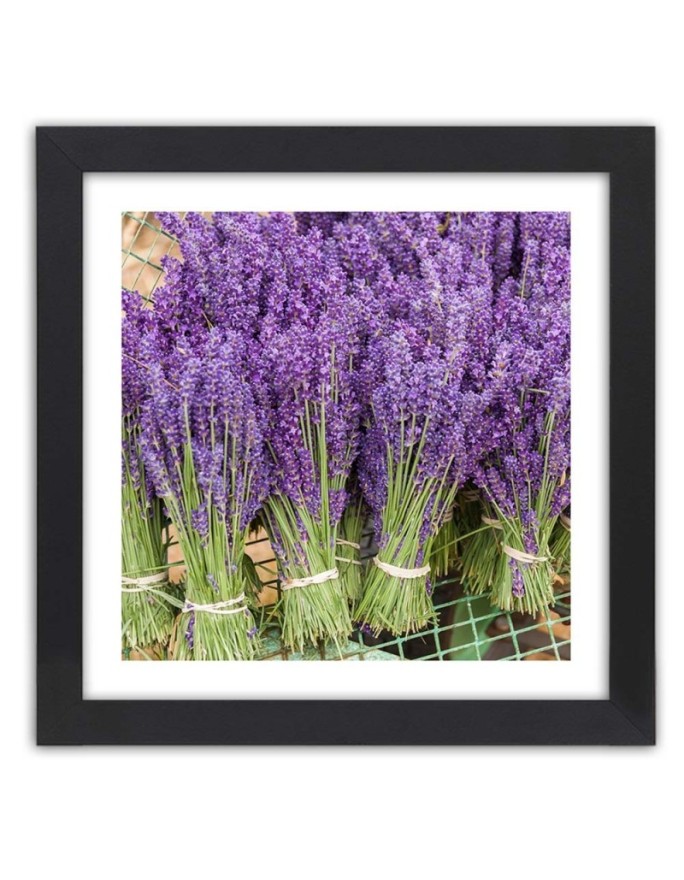 Poster Lavender bouquet