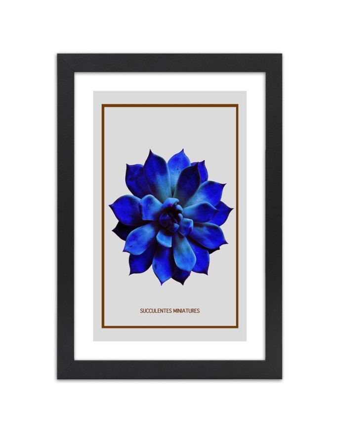 Poster Succulent blue...