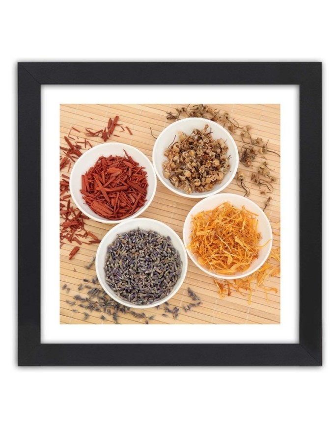Poster Spices and herbs