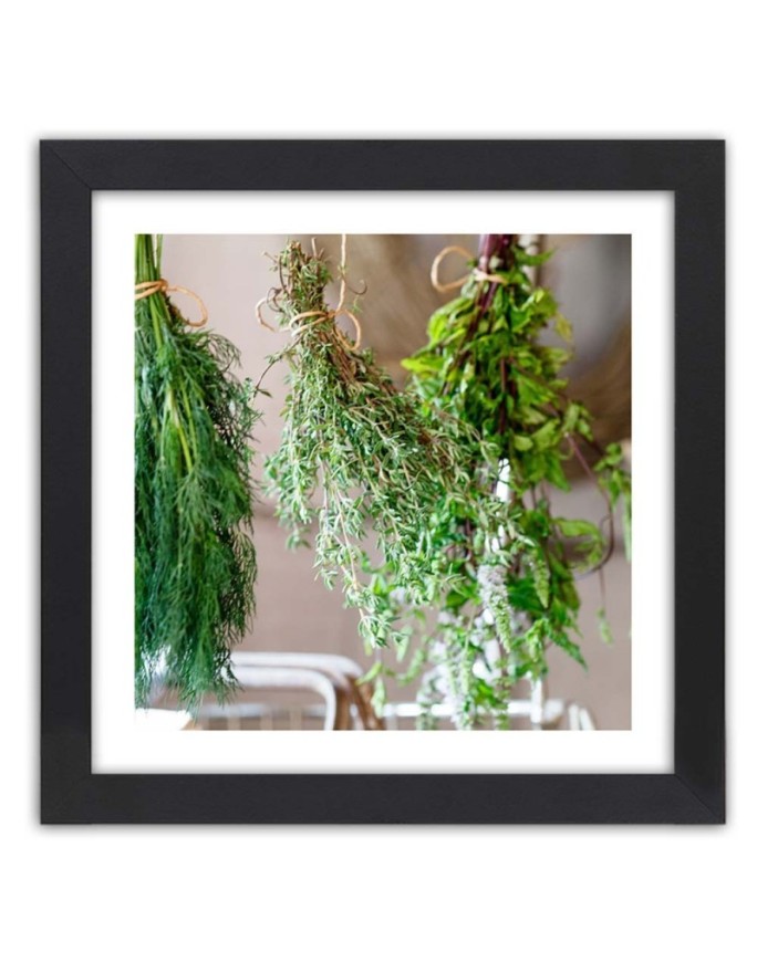 Poster Herbs for kitchen