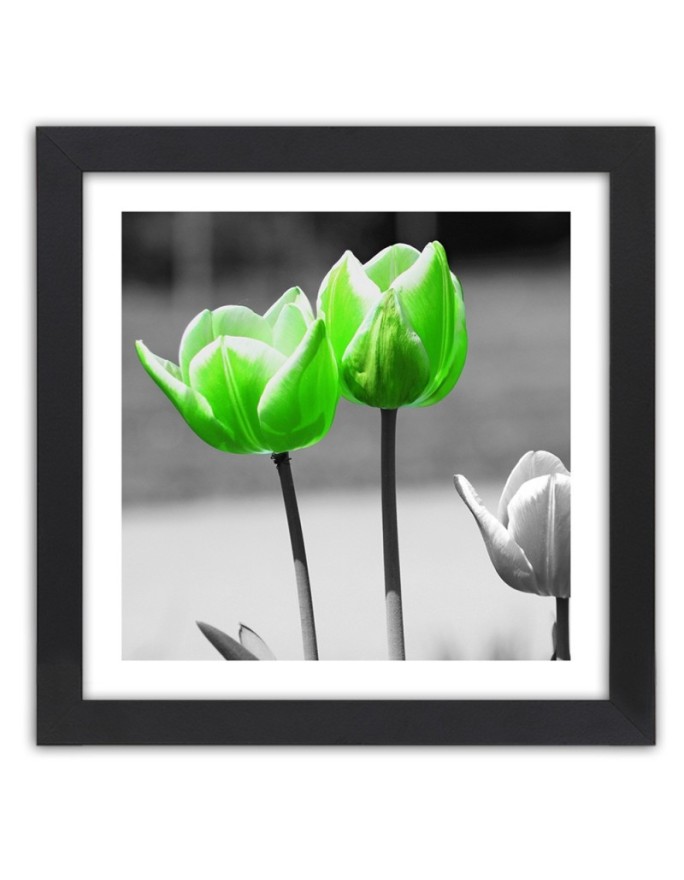 Poster Green tulips in gray