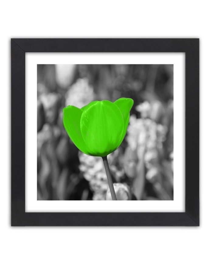 Poster Green tulips in a...