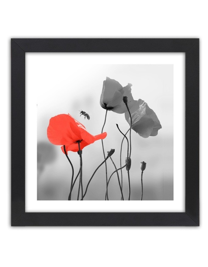 Poster Red poppies