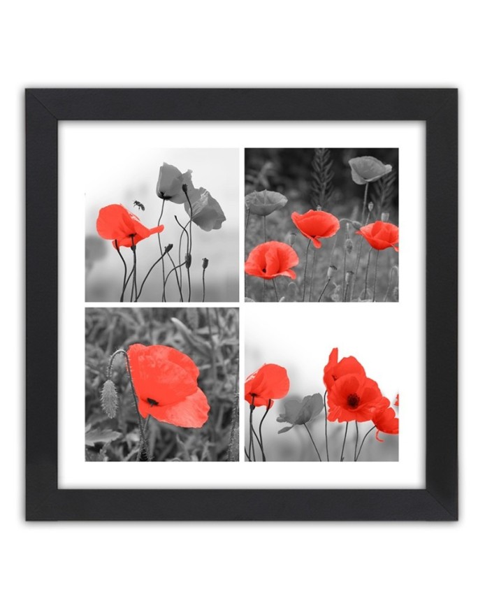 Poster Red poppies collage