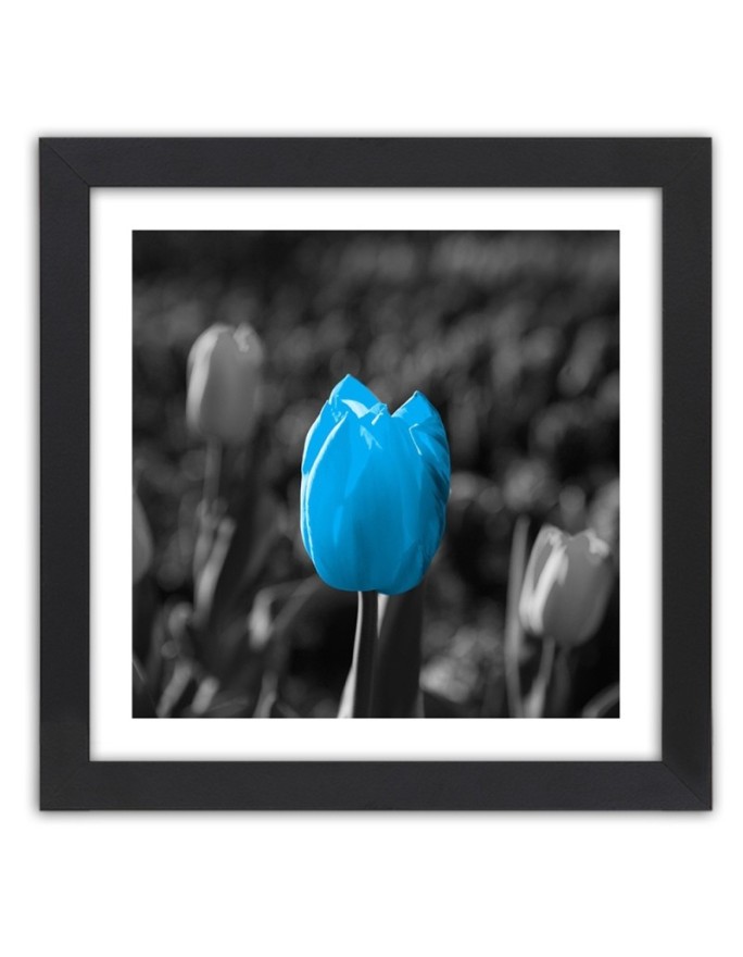 Poster Blue tulips in gray