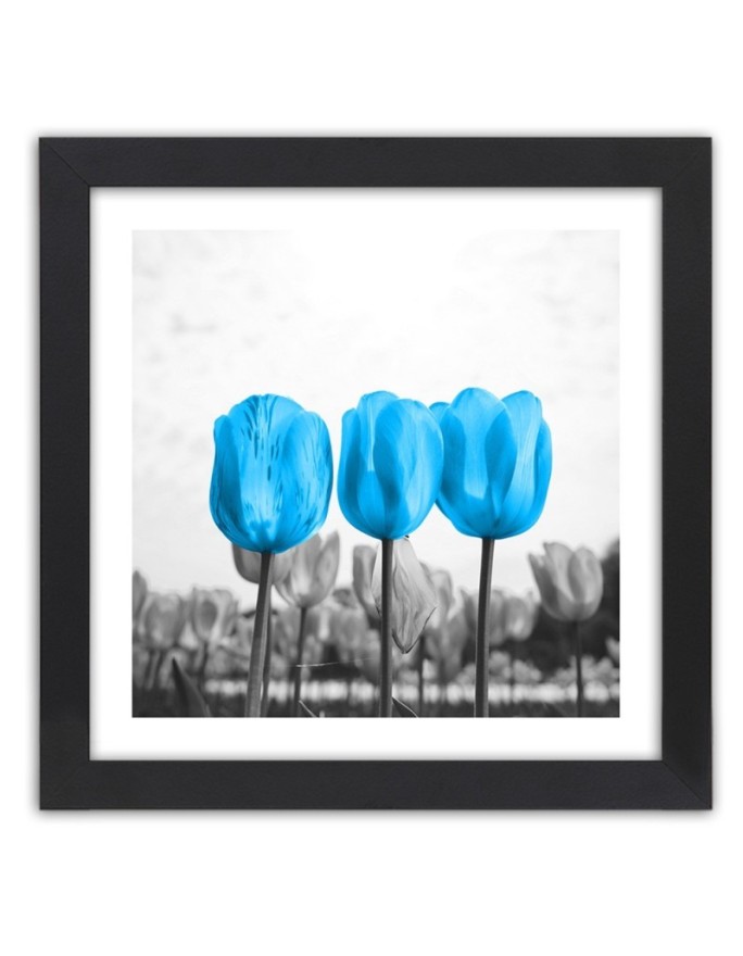 Poster Blue tulips