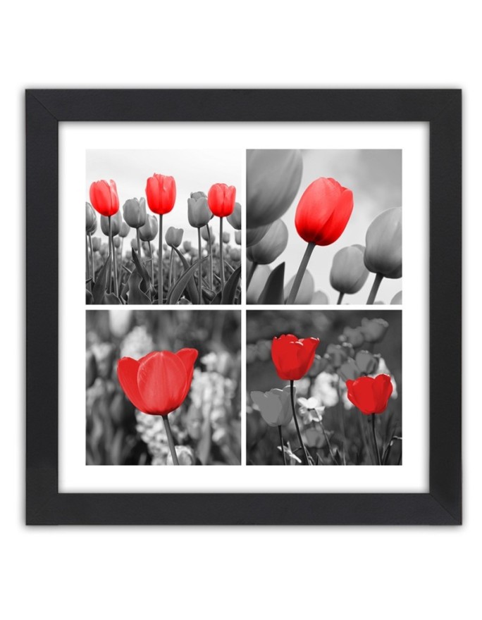 Poster Red tulips in a meadow